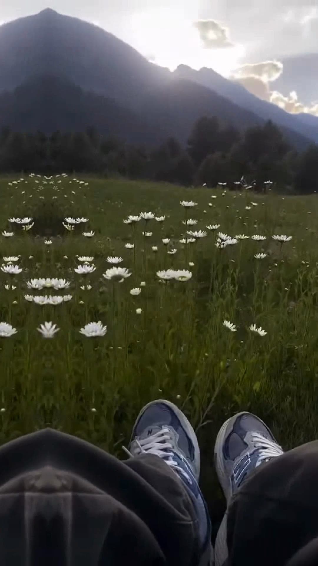 Datamosh Nature Glitch Edit · supplied reference, a datamosh nature glitch edit video