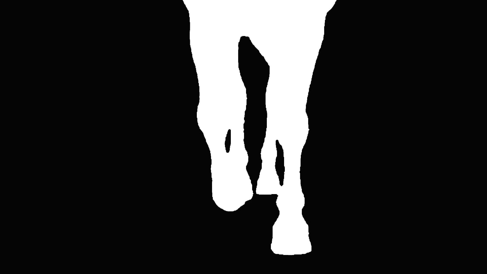 Walking Silhouette Visualiser, a walking silhouette visualiser video
